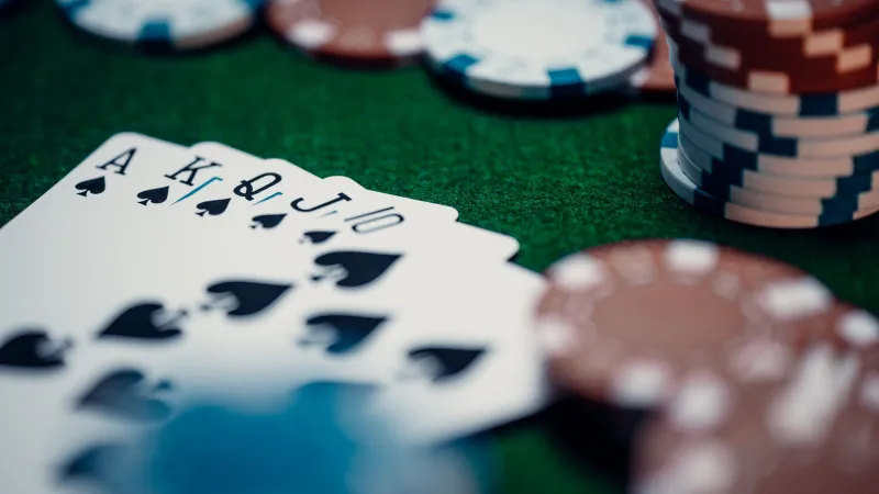 Wired for Indulgence: The Neuroscience Behind Chocolate Casino Branding and What It's Doing to Your Wallet